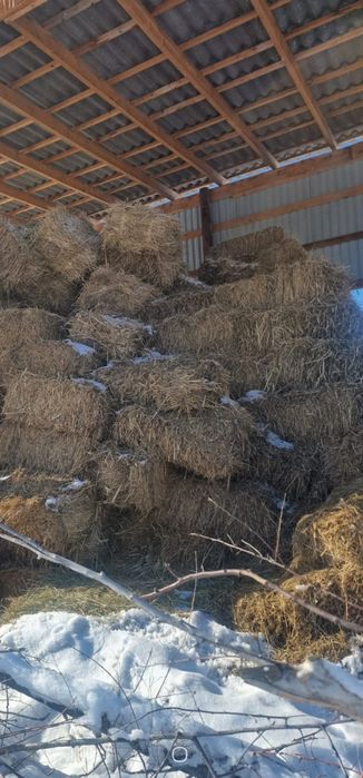Шоп сатылады продается сено