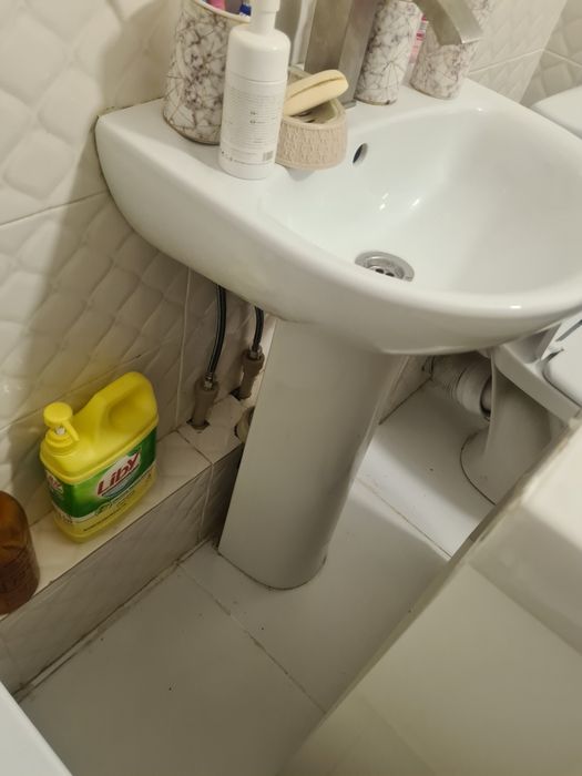 Продам тюльпан с раковиной