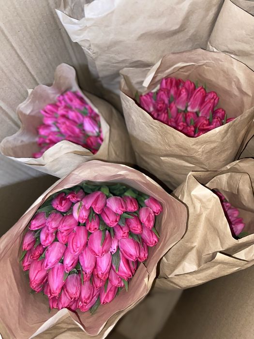 Тюльпаны 1шт 145тг