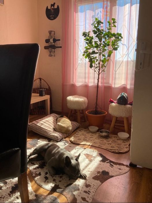 Продава се Къща в с. Песнопой, Област Пловдив - 50 кв.м за 357 €/кв.м - Снимка #3