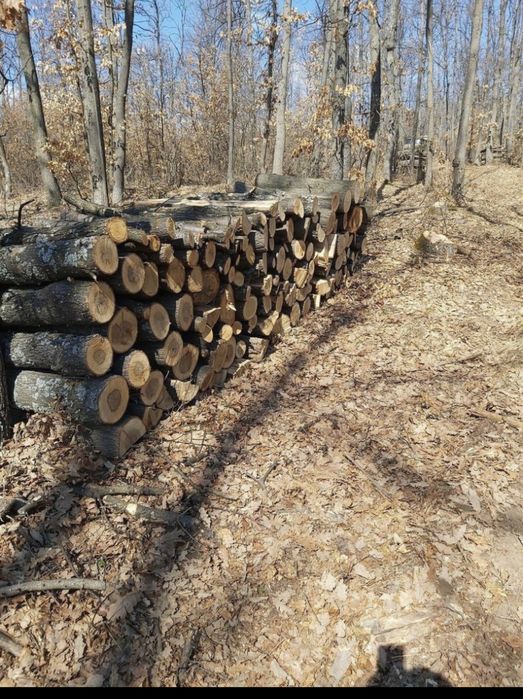 Дърва за огрев. Дъб и бук метровки