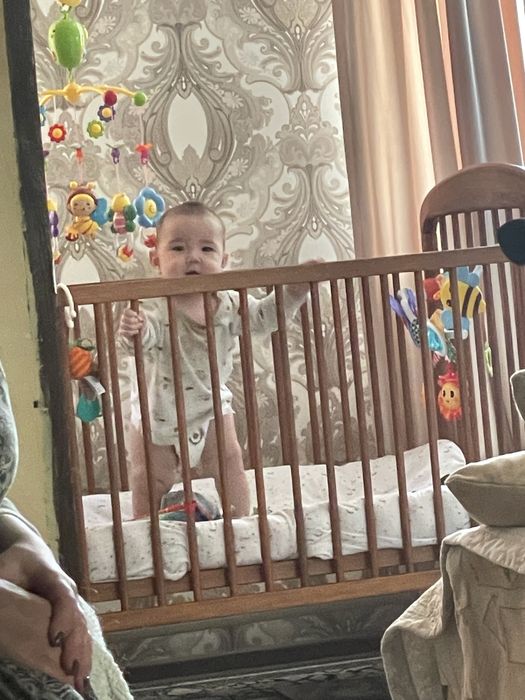 Щенок лабрадора ретривера