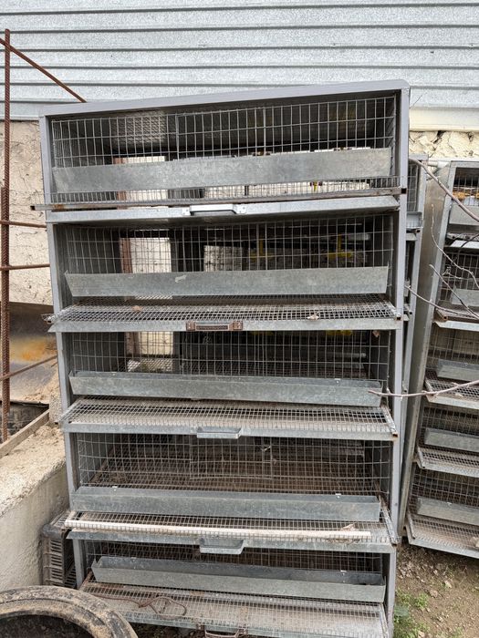 Сетка для перепелки, инкубатор