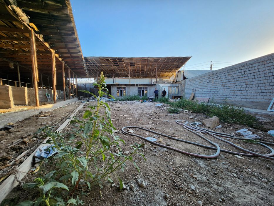 Аренда участок ijaraga joy uy uchastka