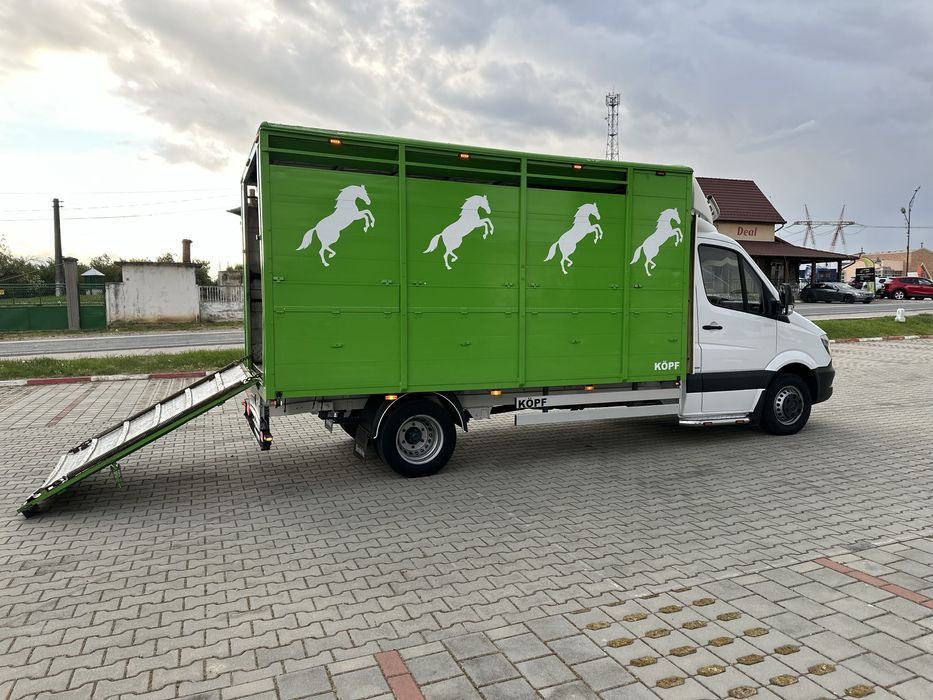 Mercedes sprinter 519 , transport animale , iveco daily