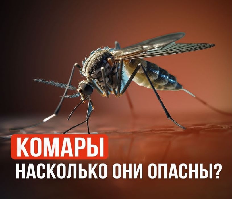 Дезинфекся услугй