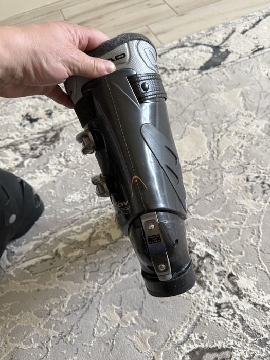 Clapari Dama Head EZON