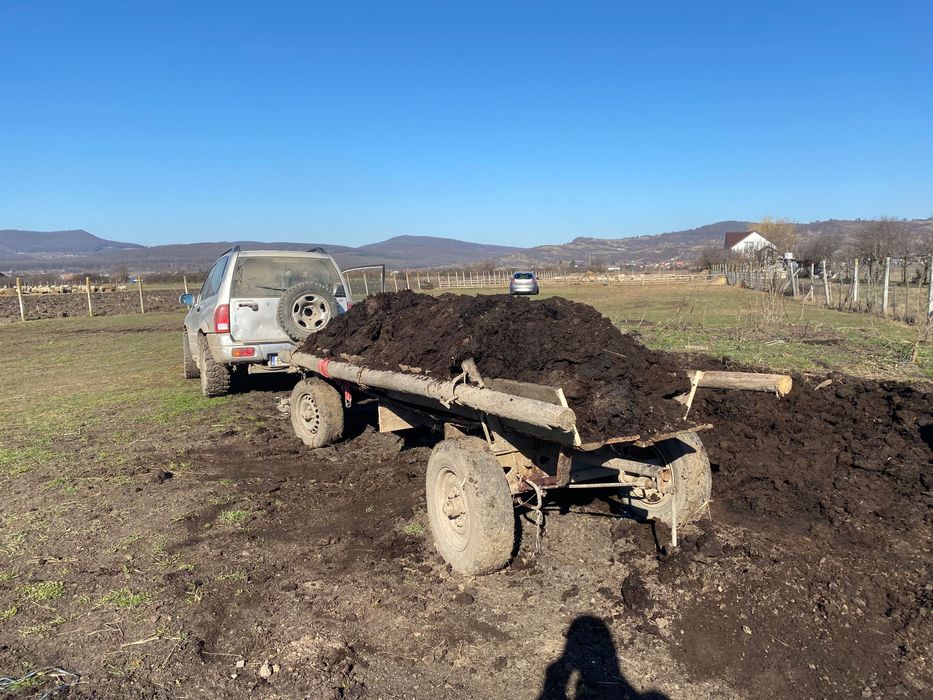 Îngrășământ de oaie clasa I