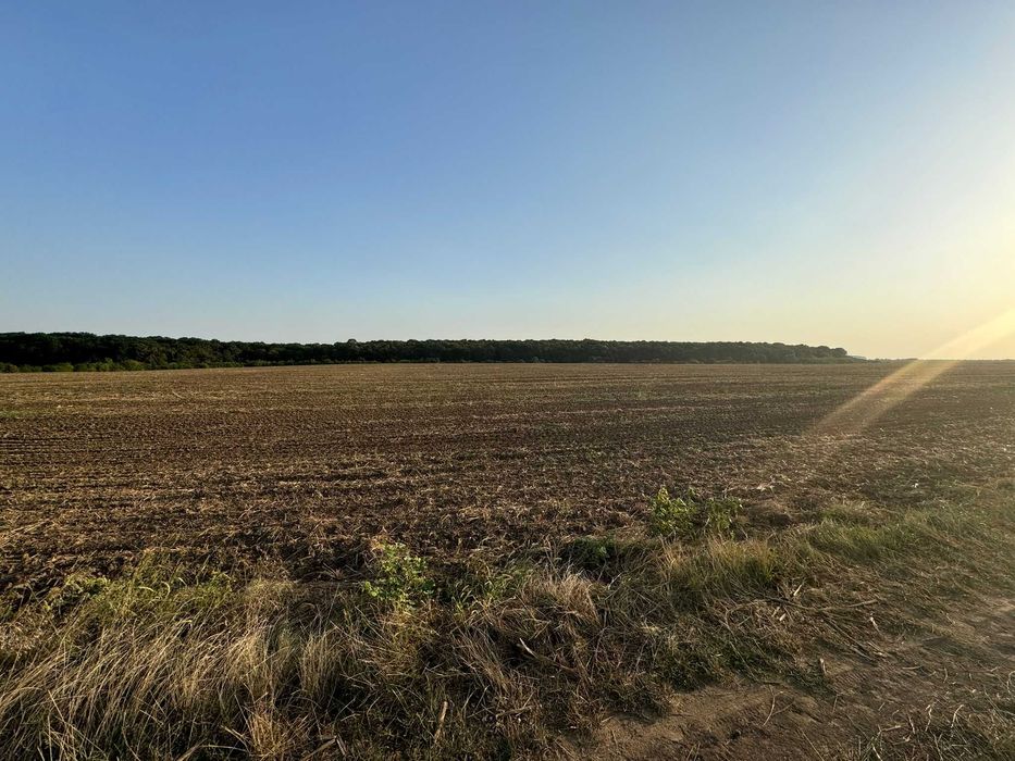 Vânzare teren extravilan arabil - Tâncăbești, comuna Snagov