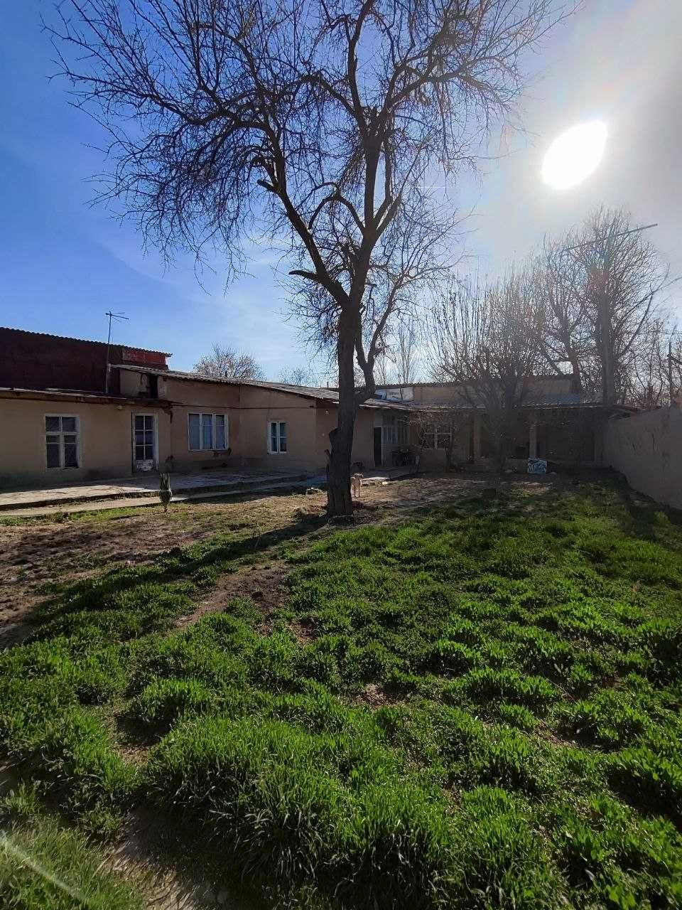 dom uchastka tashkent - Земля в Ташкент - OLX.uz