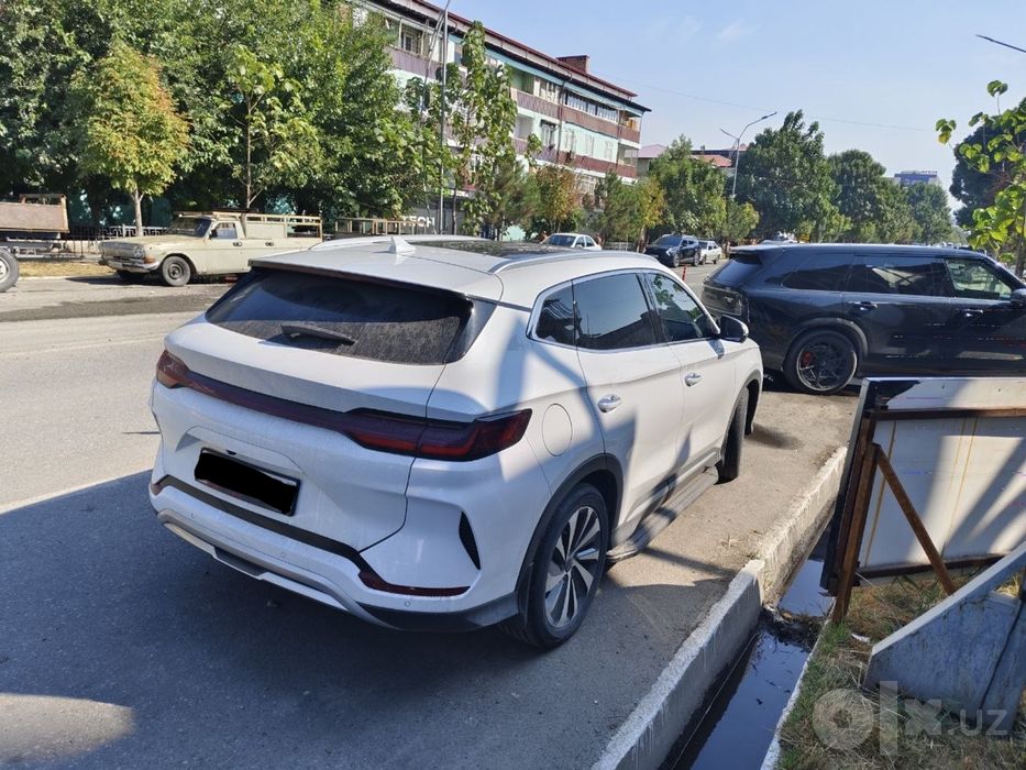 Byd champion hybrid 2024