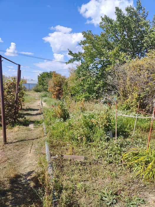 Дача 10 соток в Алмалы Авиатор