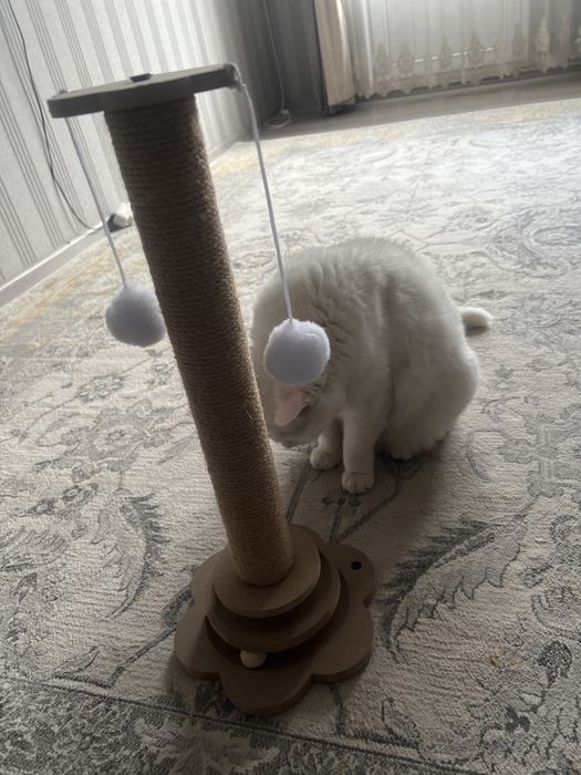 Когтеточку- игрушку для кошки продам