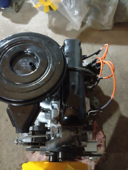 Сотка зибори холатда