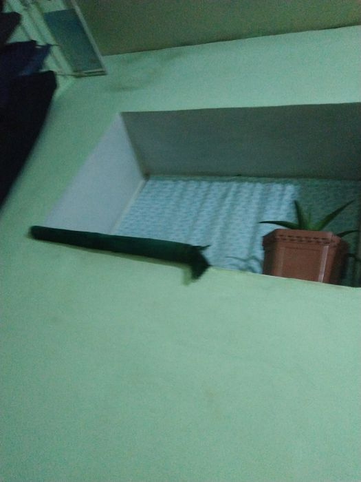 Уй сотилади Эски глазной