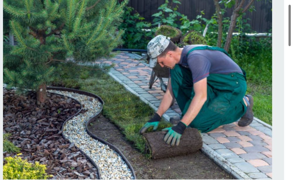 Садовник сервис обслуживание дом уход за комнатными, офисными растен
