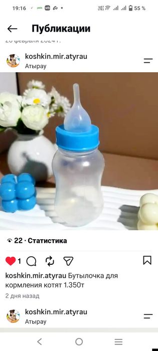 Молоко, смесь для котят
