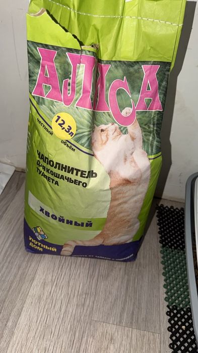 Отдам даром кота