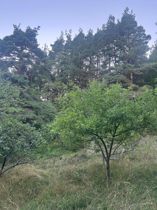 Продава се Къща в София, в.з. Симеоново - Драгалевци - 75 кв.м за 1530 €/кв.м - Снимка #2