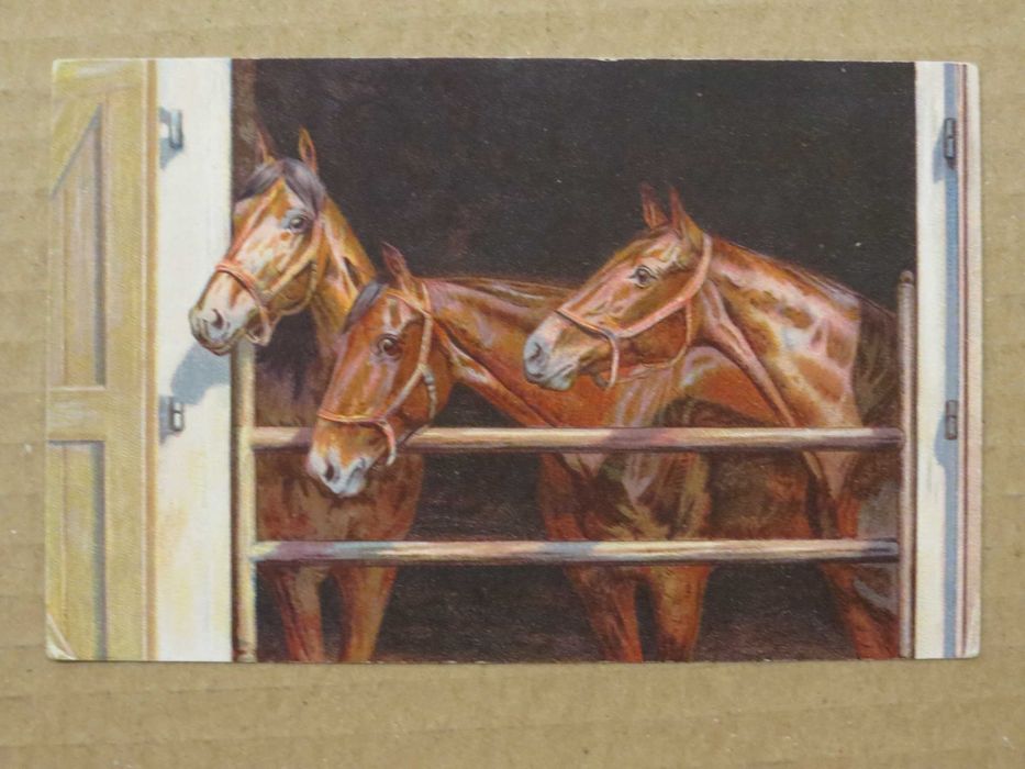 4 carti postale ilustrate cu cai