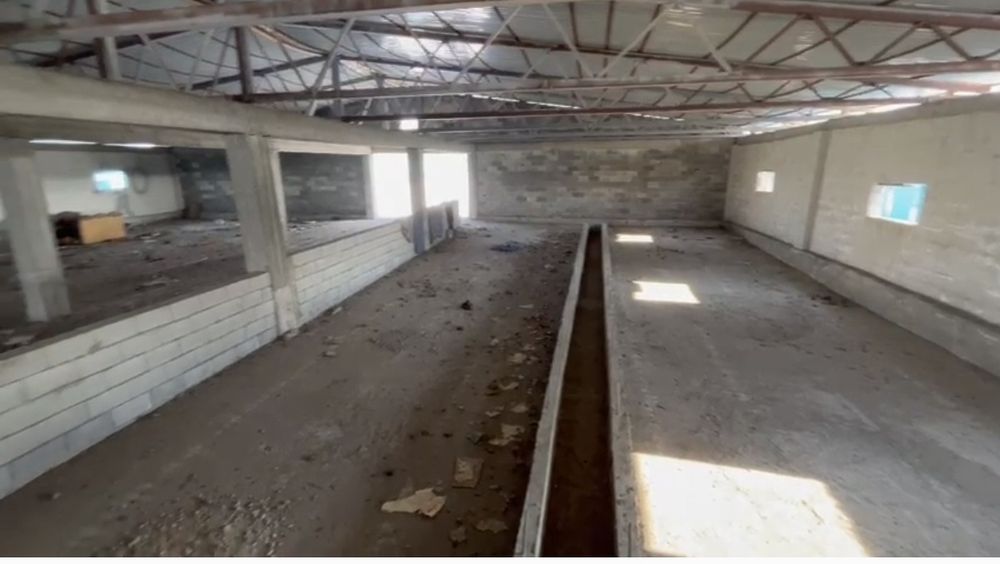 Продается бизнес ( готовая ферма)