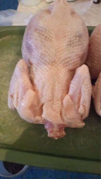 Продажа домашней птицы