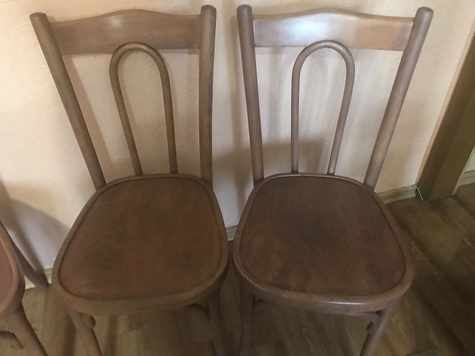 Венские стулья после реставрации