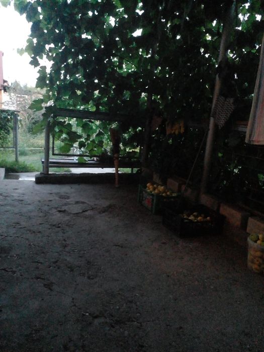 Продаю дачу 6 соток