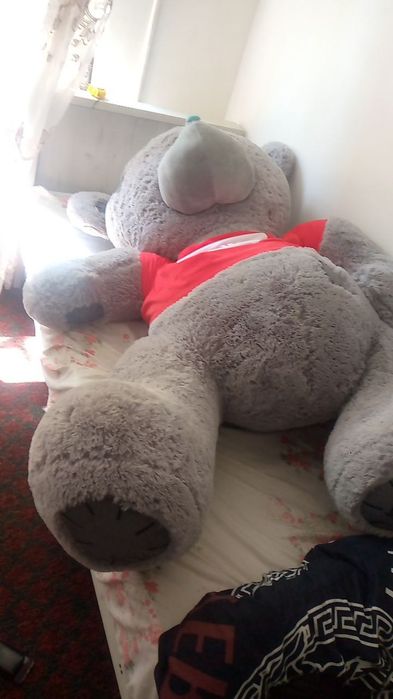 Teddy 160sm yangi