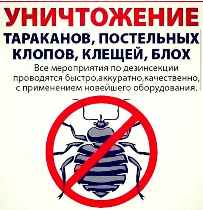 Обработка от клопов, термитов, тараканов