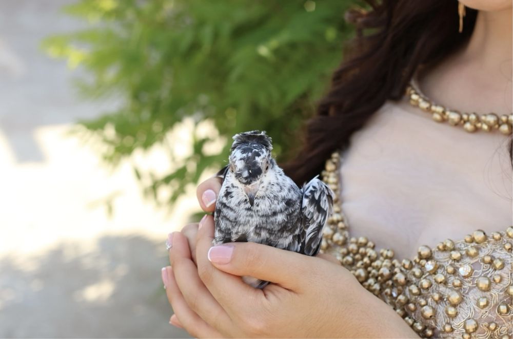 Продам платье на выпускной