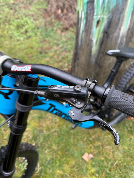 Transition Tr11 L (mullet)