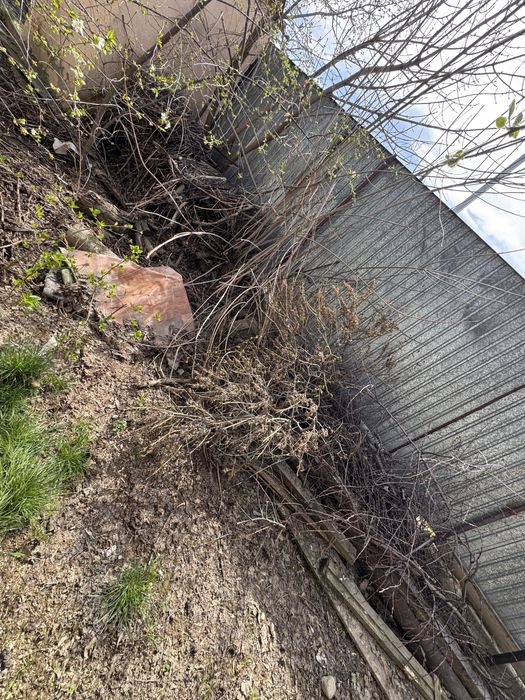 Дрова, отын самовывоз