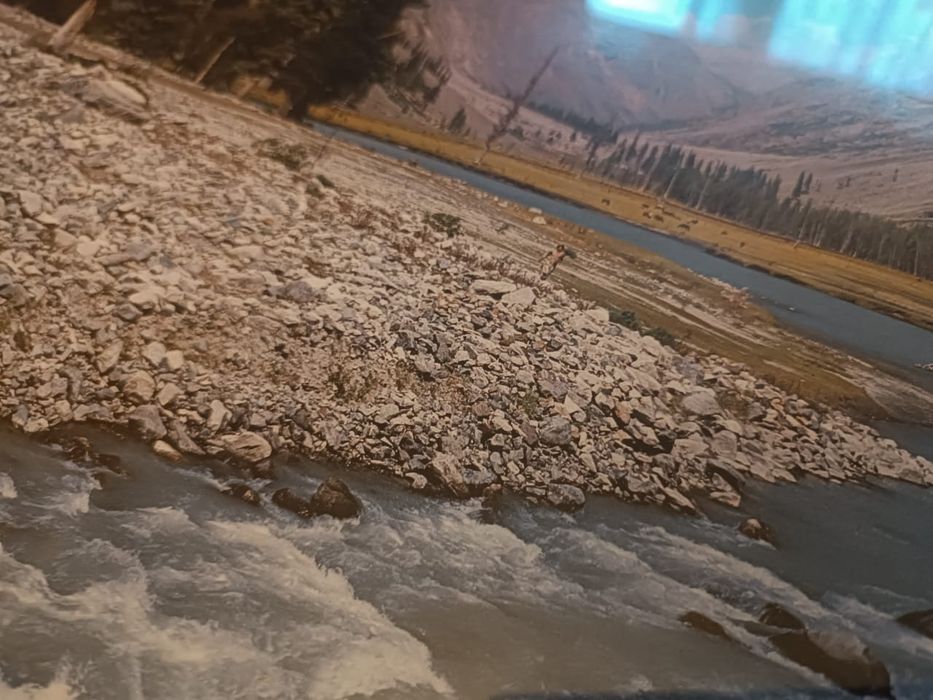 Продам   картину