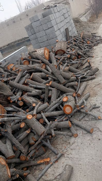 Залдори кундаси сотилади орзон нархда