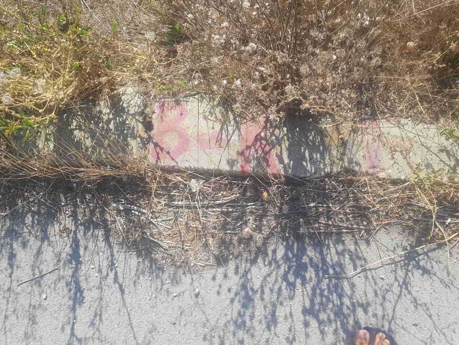 Парцел във Ветрино