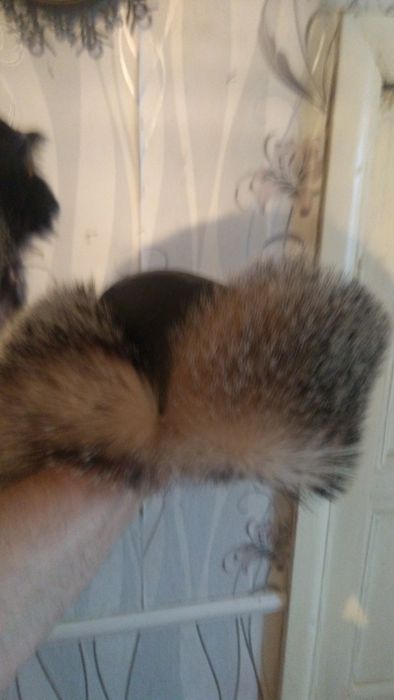 Шапка из меха лисы.