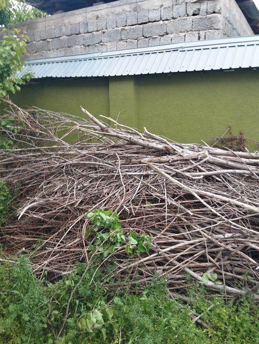 Бесплатные дрова