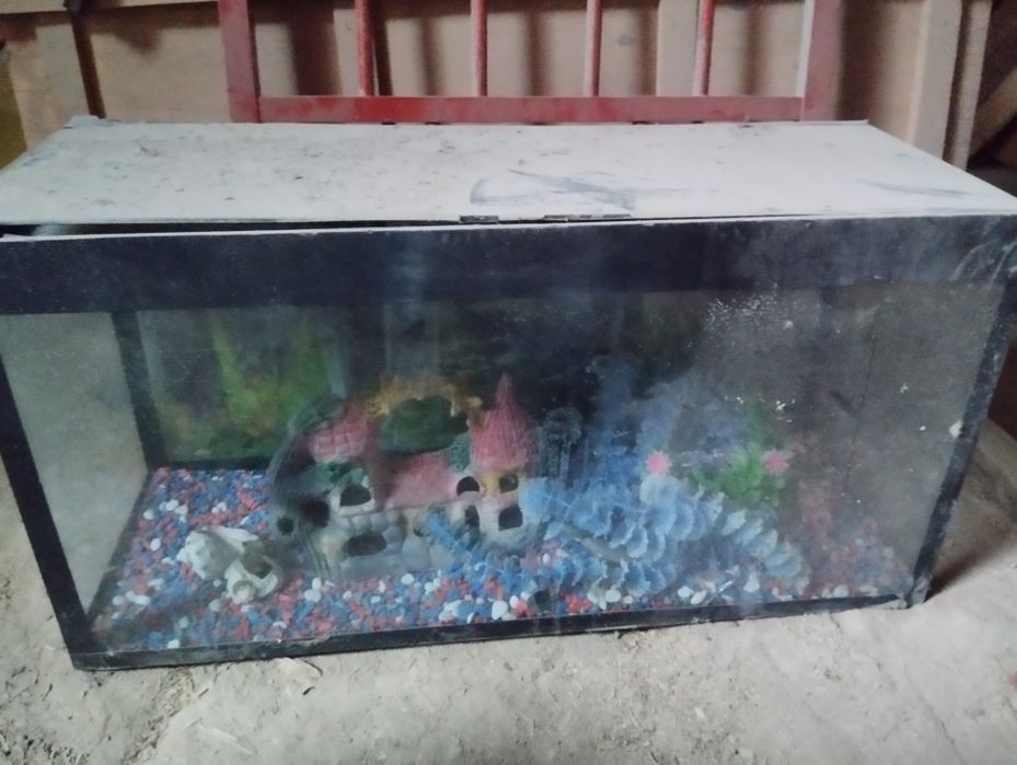 Akvarum sotiladi 2ta