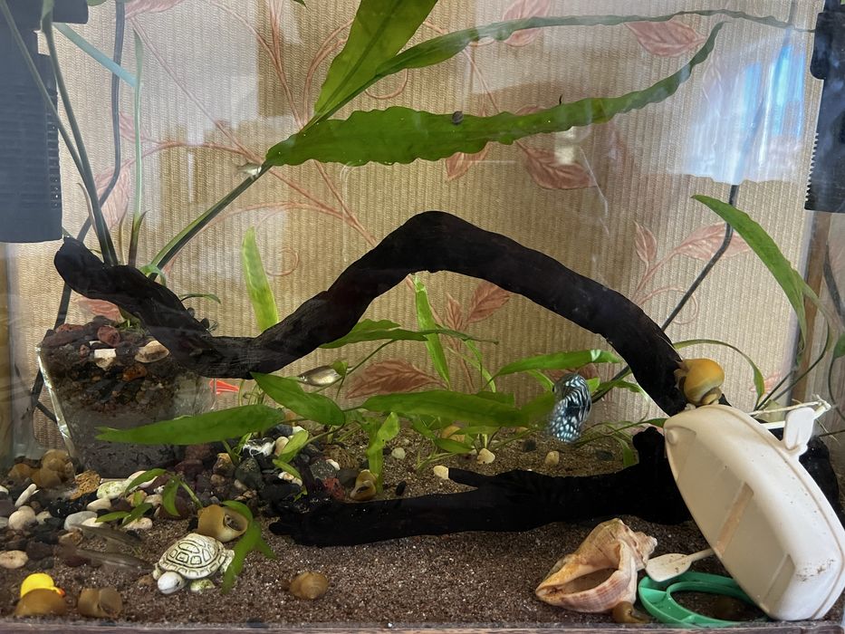 Продам аквариум или обмен