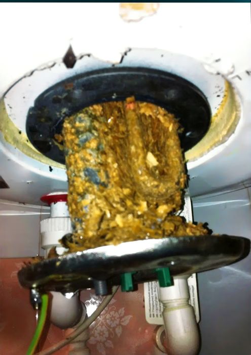 Chiska Ariston xarxil ter kasalliklaridan qutilasz