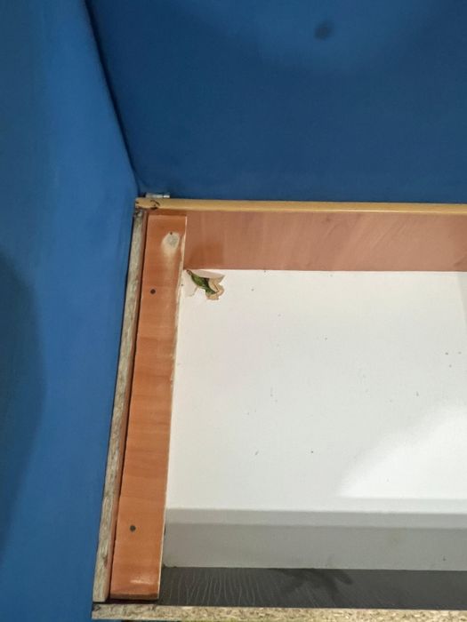 Продам диван старый срочно