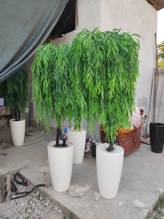 Искусственные ива суниий мажнунтол