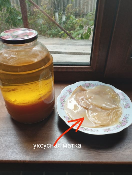 Яблочный уксус домашний 3000тг