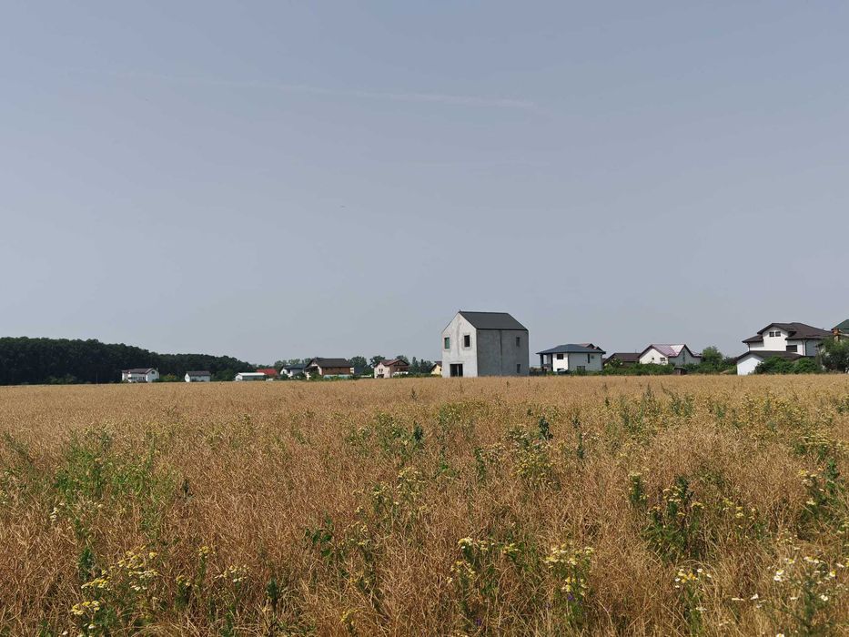 Teren, 8950 mp, langa padure, Intravilan, Magurele, strada Tangentei