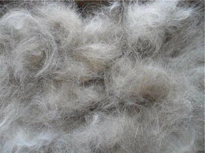 Собачья шерсть 10000 за 1 кг