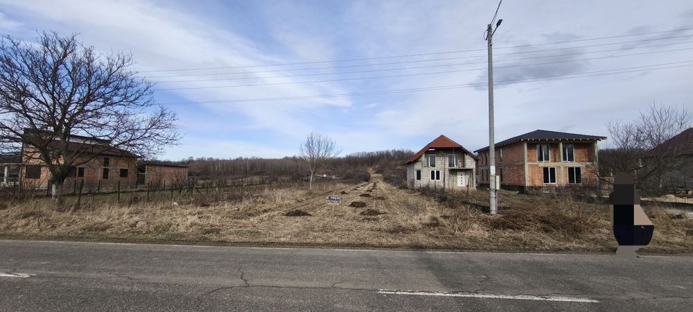 Teren 2.366 mp Zervești – drum principal spre Muntele Mic