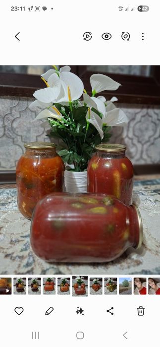 Домашние банки на зиму