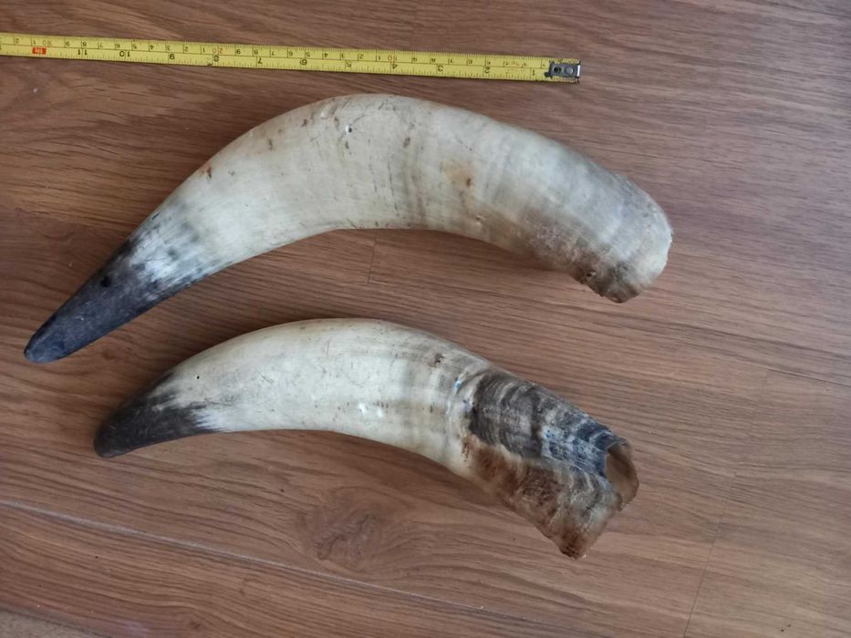 Големи рога за барутници