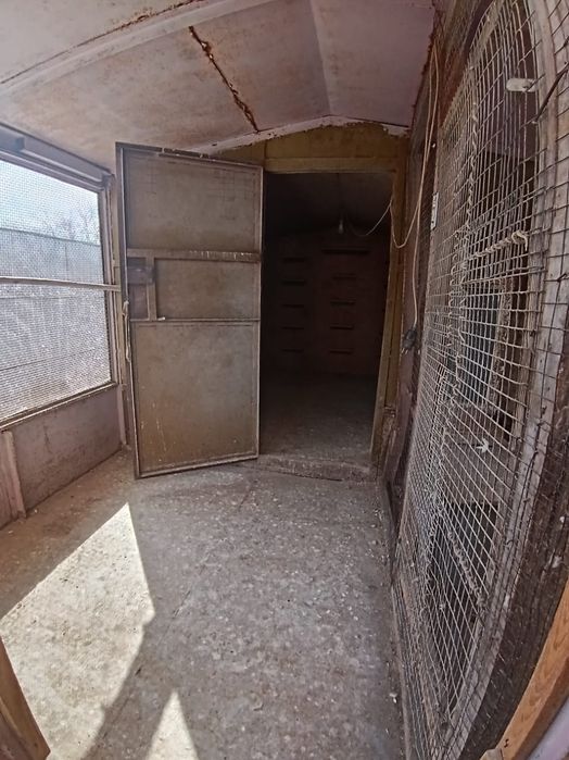 Продам голубятник